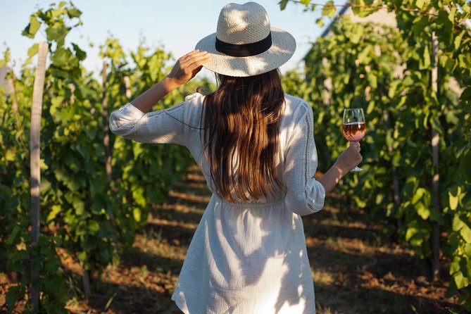 Ancient Cappadocia's Wine Tasting - Private Tour - Turasan Wine House, one hour