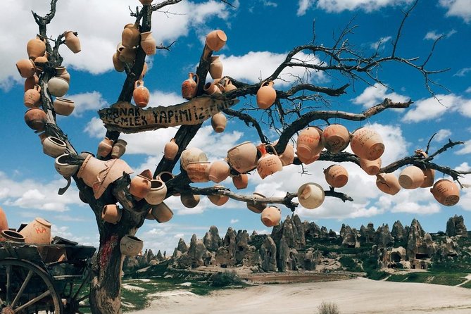 Best Private Tour of Cappadocia - Pigeon Valley and the small details of the rock
