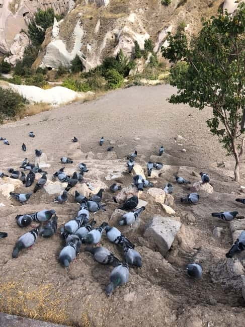 Cappadocia 1 or 2 Day Private Tour - Ihlara Valley adds a greener, quieter side of Cappadocia
