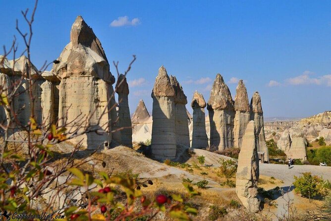Cappadocia All-included Red Tour with Small Group - Devrent Valley ends with imagination