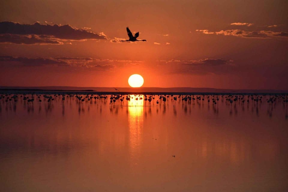 Cappadocia Amazing Sunset Tour To Salt Lake - Who will enjoy this Salt Lake trip