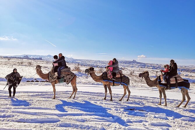 Cappadocia Camel Ride Tour - Animal care and safety deserve attention