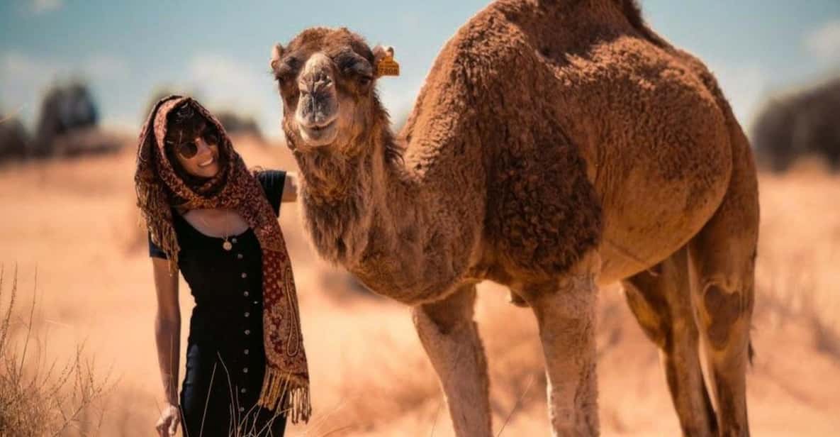 Cappadocia: Camel Safari Tour with Transfer - Is $58 a fair price?