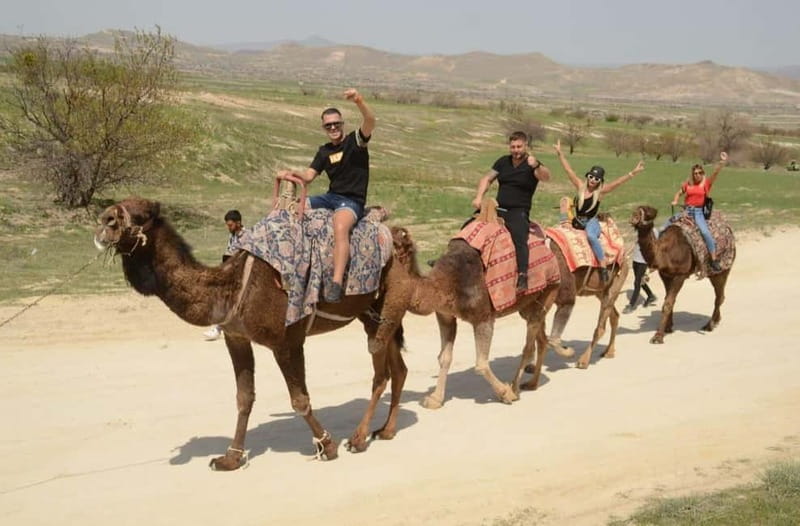 Cappadocia: Camel Safari Tour with Transfer - Should you book this camel safari?