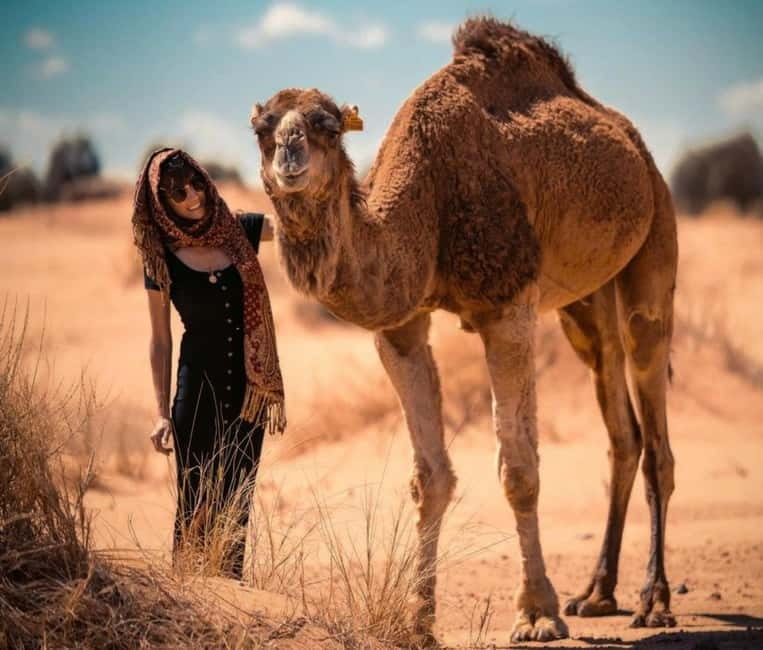 Cappadocia: Camel Safari Tour with Transfer - What the one-hour route gives you