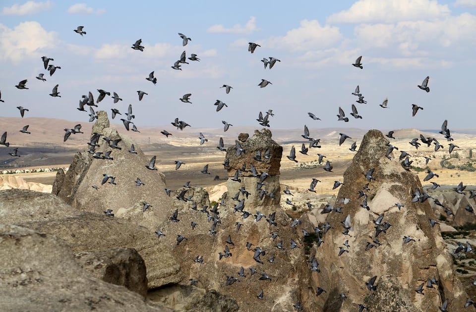 Cappadocia Green Tour (Includes lunch and museum tickets) - Craft stops and what to expect