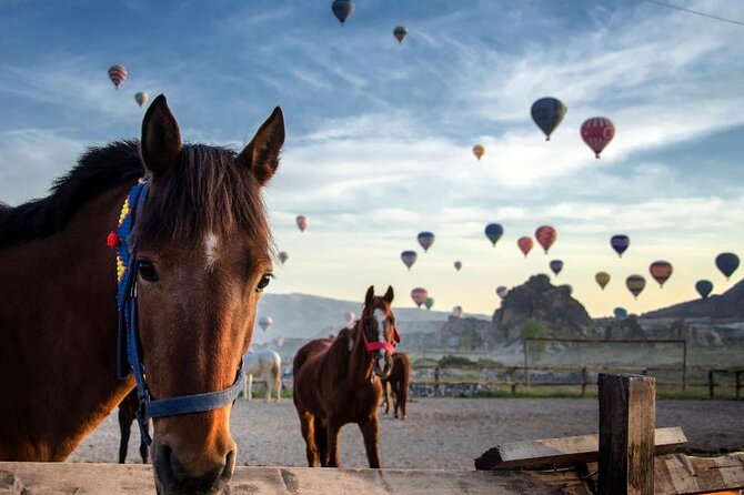 Cappadocia Horse Riding Experience Sunrise Sunset Daytime - Why Horseback Is a Fine Way to See Cappadocia