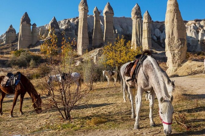 Cappadocia Horse Riding Experience Sunrise Sunset Daytime - From Your Hotel to the Ranch Near Göreme