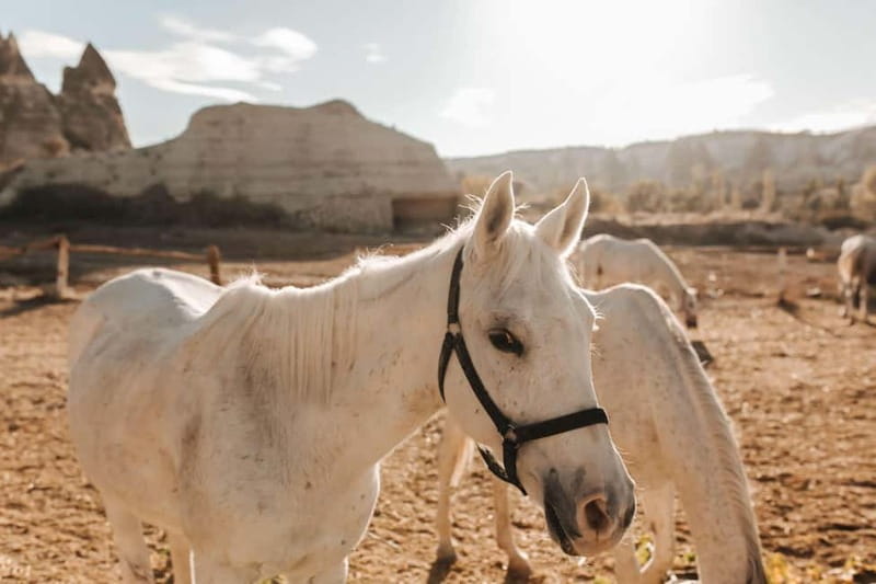 Cappadocia: Horse Riding Tour with Hotel Transfer - Is the $32 price good value?