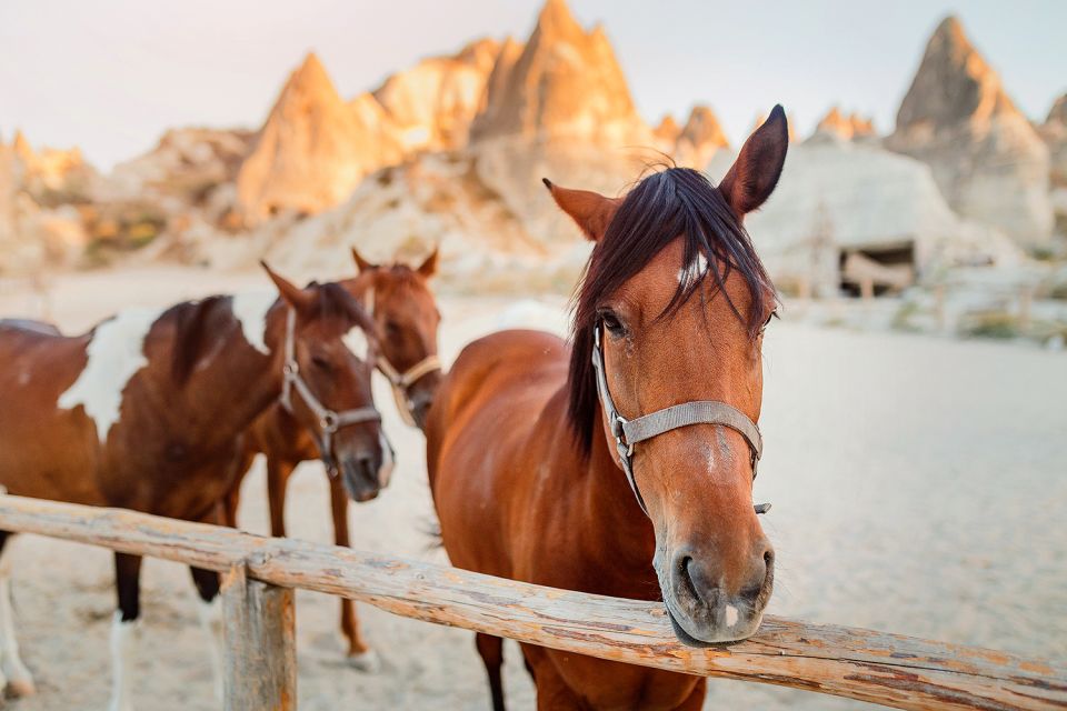 Cappadocia: Horse Riding w/Sunrise & Sunset Option - How suitable is it for a first-time rider?