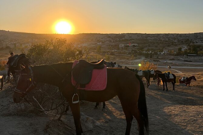 Cappadocia Horseback Riding Tour - What the $20 Price Really Buys You
