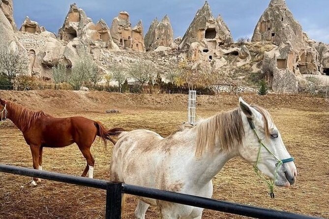 Cappadocia Horseback Riding Tour (Transfer Included) - Why horseback riding works so well in Cappadocia