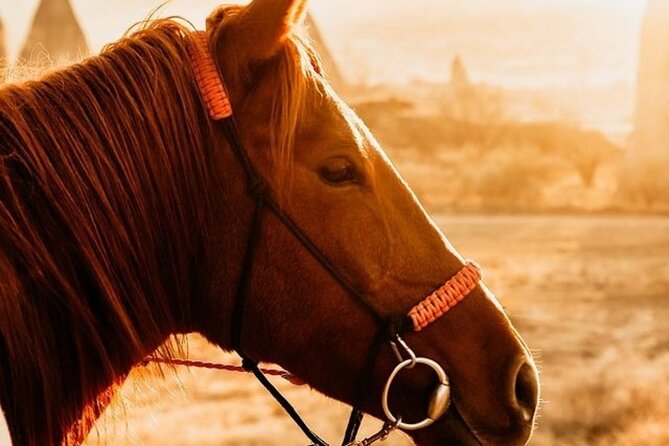 Cappadocia Horseback Riding Tour (Transfer Included) - Starting with the riding lesson