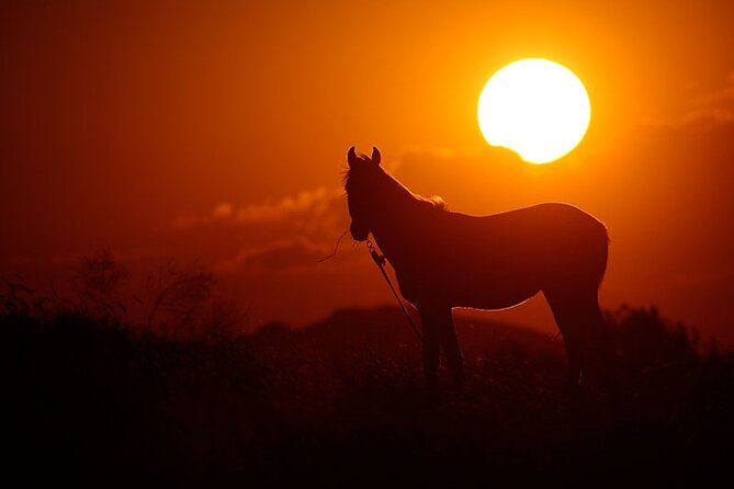 Cappadocia Horseback Riding Tour with Hotel Pickup & Helmet - Is the $3.60 price good value?