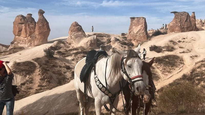 Cappadocia Private Combined Tour with Lunch - Devrent Valley turns rocks into an imagination game