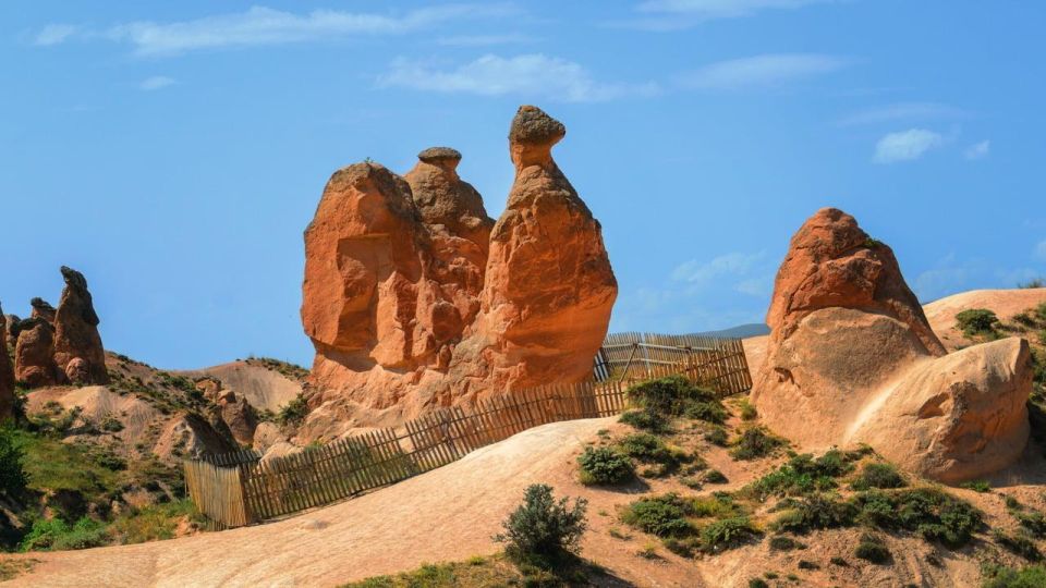 Cappadocia Red Tour with Small Group Full-Day Include Lunch - Devrent Valley’s animal-shaped rocks