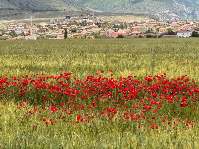 Cappadocia: Shared/Private Tour with Lunch - Walking through Ihlara Valley