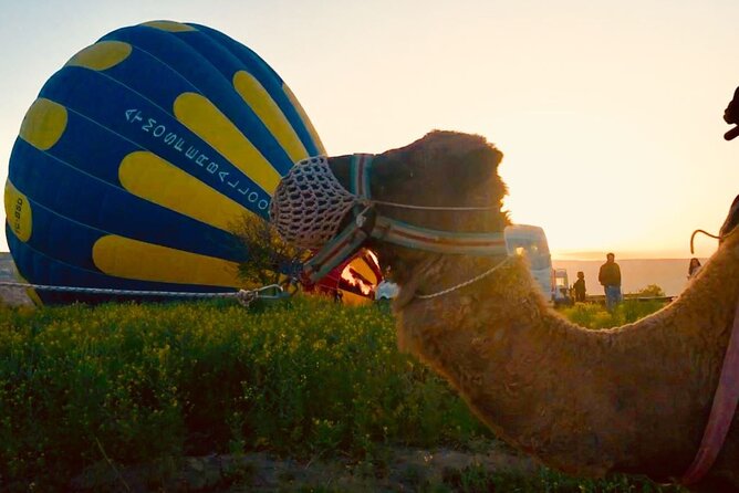Cappadocia Sunrise Camel Safari - Why a Cappadocia sunrise camel ride works