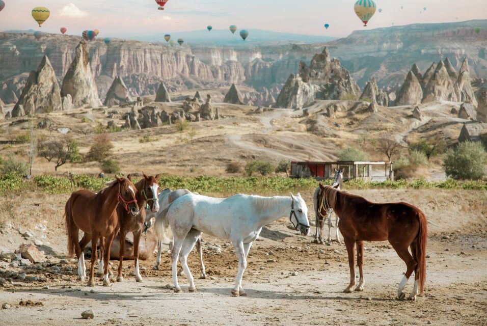 Cappadocia: Sunset Horseback-Riding Tour - Apricot orchards and old vineyards