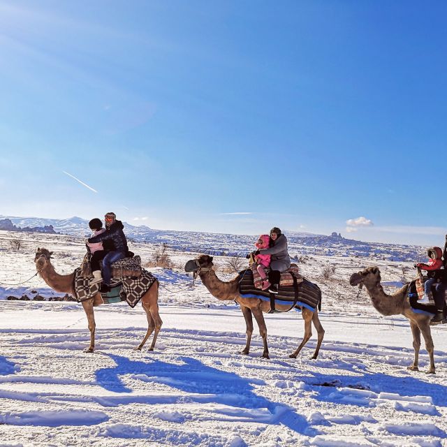 Cappadocia: Sunset or Sunrise Scenic Camel Ride - The camels and how they affect the experience