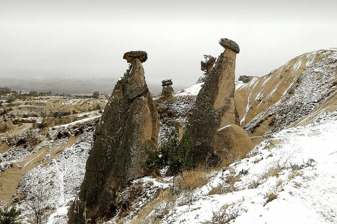 Full day Cappadocia red tour with lunch - Devrent Valley turns rock into a picture book