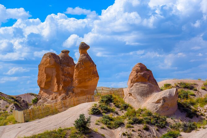 Full-Day Cappadocia Tour with Lunch, from Goreme - Devrent Valley and Pasabag: Cappadocia’s strangest rocks