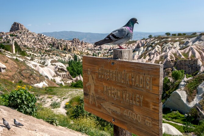 Full Day Private Cappadocia Tour (Guide & Driver) - Fairy chimneys close the visual story