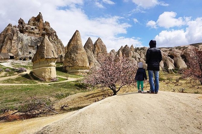 Full Day Private Cappadocia Tour (Luxury Van + Private Guide ) - Devrent, Love, and Rose Valleys
