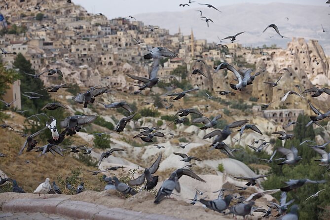 Full-Day Private Guided RED Tour of Cappadocia - Pigeon Valley explains an old farming practice