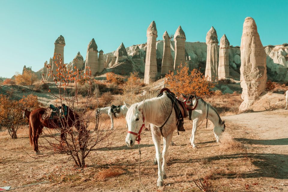 Istanbul to Cappadocia All Inclusive Private Day Tour - Key details to know before booking