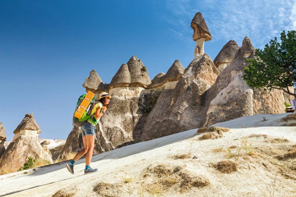 Istanbul to Cappadocia All Inclusive Private Day Tour - Devrent Valley and the shapes of the rocks