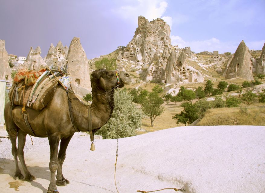 Istanbul to Cappadocia All Inclusive Private Day Tour - Pasabag’s fairy chimneys