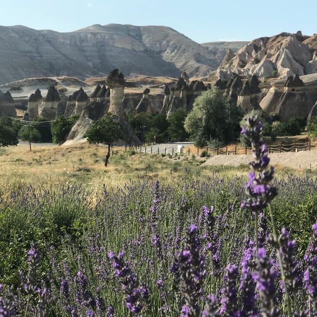 Mochiron Tour Full day Cappadocia With Japanese Guide - Devrent Valley and the rock shapes that invite imagination