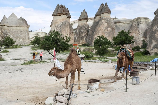 Private Cappadocia Tour w/Chimneys and Goreme Open Air Museum - Goreme Open Air Museum and the Dark Church