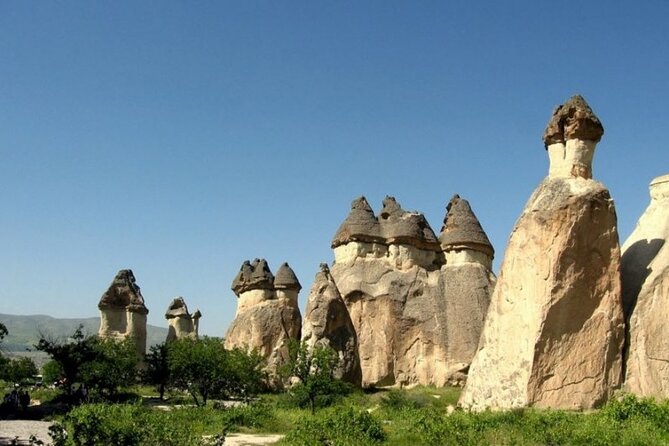 Red (North) Tour Cappadocia (small group) with lunch and ticket - Devrent Valley turns stone into a guessing game