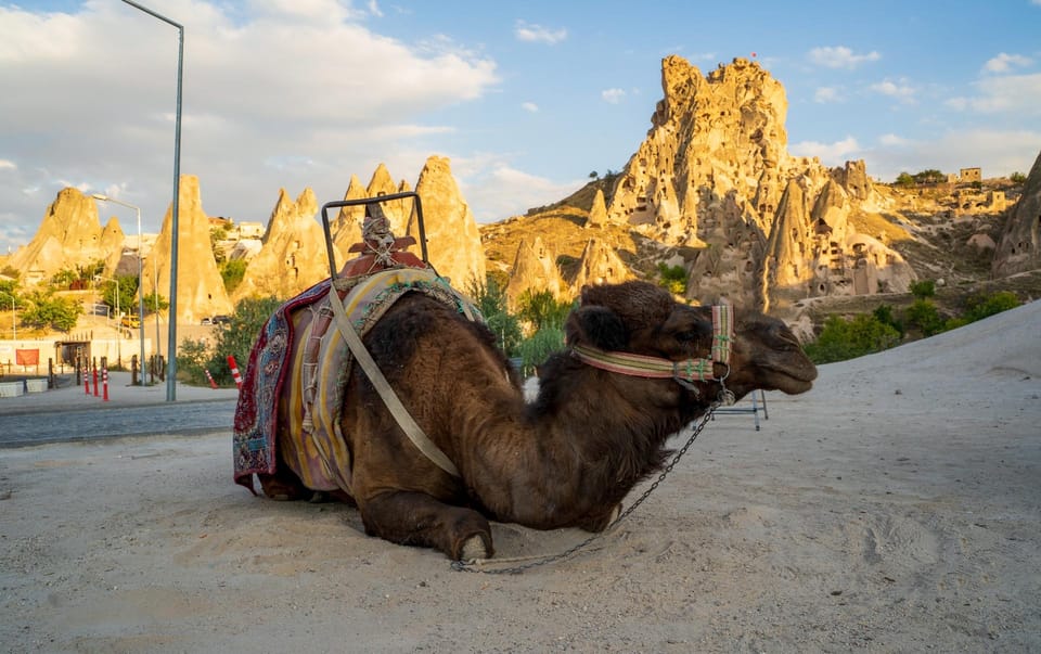 Sunrise and Sunset Camel Ride with Stunning Cappadocia Views - Who will enjoy this most?