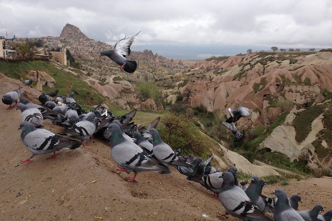 Tour of Highlights of Cappadocia with Lunch - Pasabag: Cappadocia’s famous mushroom chimneys